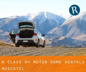 A Class Rv Motor Home Rentals (Muscatel)