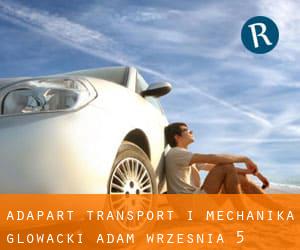 Adapart Transport i Mechanika Głowacki Adam (Września) #5