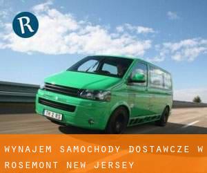 Wynajem Samochody dostawcze w Rosemont (New Jersey)