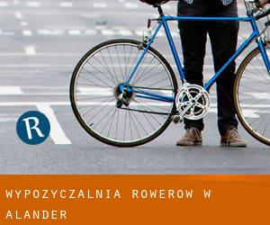 Wypożyczalnia rowerów w Alander