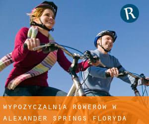 Wypożyczalnia rowerów w Alexander Springs (Floryda)