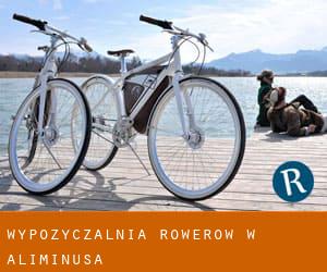Wypożyczalnia rowerów w Aliminusa