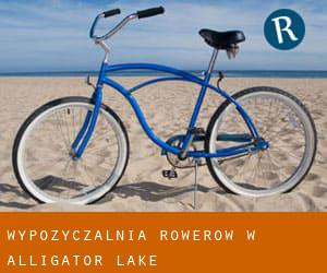 Wypożyczalnia rowerów w Alligator Lake
