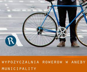 Wypożyczalnia rowerów w Aneby Municipality