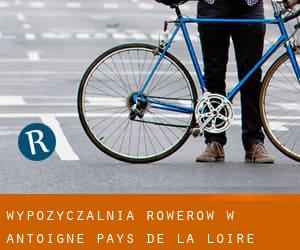 Wypożyczalnia rowerów w Antoigné (Pays de la Loire)