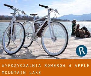 Wypożyczalnia rowerów w Apple Mountain Lake