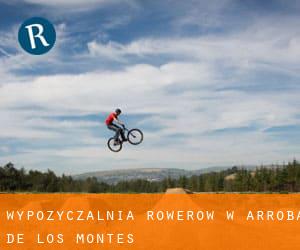 Wypożyczalnia rowerów w Arroba de los Montes