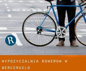 Wypożyczalnia rowerów w Berceruelo
