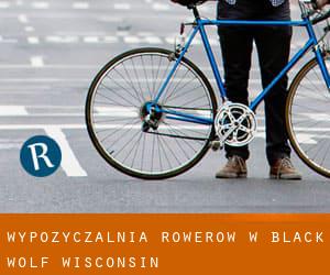 Wypożyczalnia rowerów w Black Wolf (Wisconsin)
