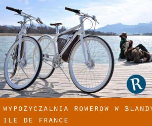 Wypożyczalnia rowerów w Blandy (Île-de-France)