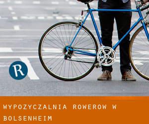 Wypożyczalnia rowerów w Bolsenheim