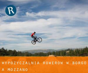 Wypożyczalnia rowerów w Borgo a Mozzano