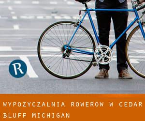 Wypożyczalnia rowerów w Cedar Bluff (Michigan)