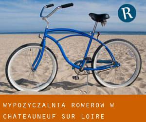 Wypożyczalnia rowerów w Châteauneuf-sur-Loire