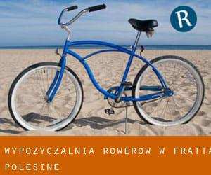 Wypożyczalnia rowerów w Fratta Polesine