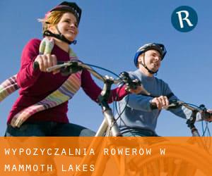 Wypożyczalnia rowerów w Mammoth Lakes