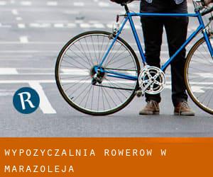 Wypożyczalnia rowerów w Marazoleja