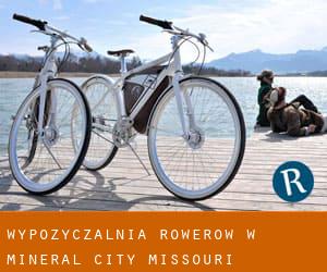 Wypożyczalnia rowerów w Mineral City (Missouri)