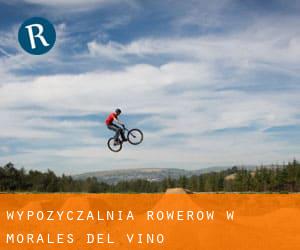 Wypożyczalnia rowerów w Morales del Vino