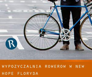 Wypożyczalnia rowerów w New Hope (Floryda)