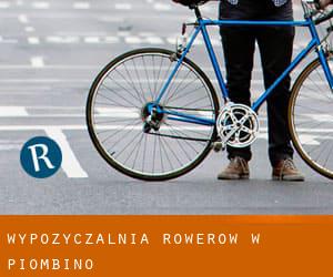 Wypożyczalnia rowerów w Piombino