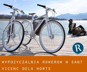 Wypożyczalnia rowerów w Sant Vicenç dels Horts