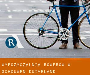 Wypożyczalnia rowerów w Schouwen-Duiveland