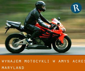 Wynajem motocykli w Amys Acres (Maryland)